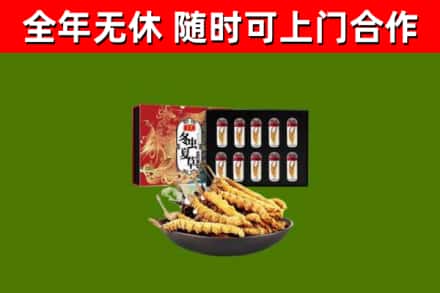 南澳县回收冬虫夏草价格
